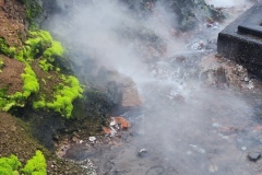 IMG_20230519_081347