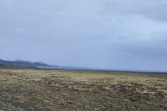 IMG_20230520_155225