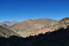 IMG_20221123_102609