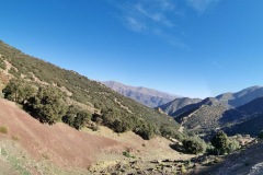 IMG_20221123_104223
