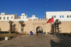 IMG_20221125_095452