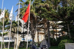 IMG_20221125_120456