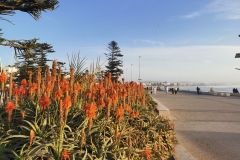 IMG_20221125_175916