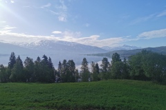 IMG_20220612_070831