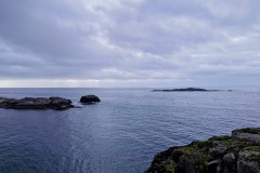 IMG_20220613_0740242