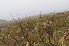 IMG_20220615_091531