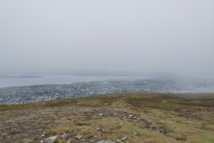IMG_20220615_093155