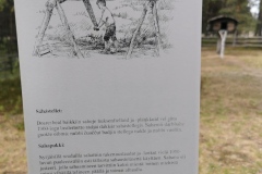 IMG_20220618_130726