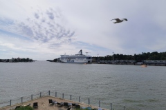 IMG_20220622_110005