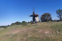 IMG_20210614_091138