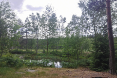 IMG_20210622_165237