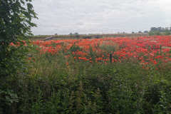 IMG_20210625_083035