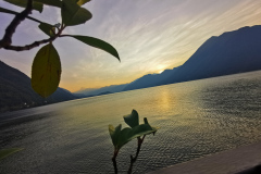 IMG_20210913_073053
